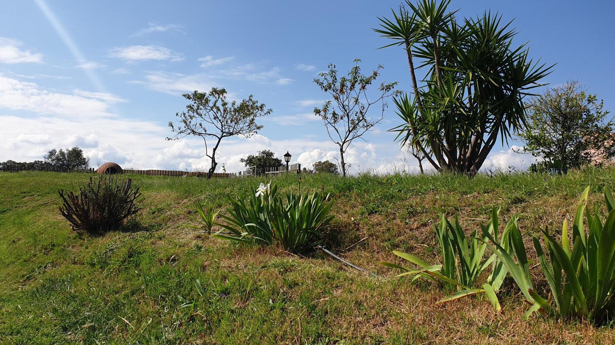 Finca La Carb0Nera Oliva de Plasencia Ngoại thất bức ảnh